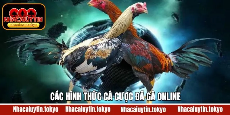 Thể loại đá gà trực tuyến siêu đa dạng