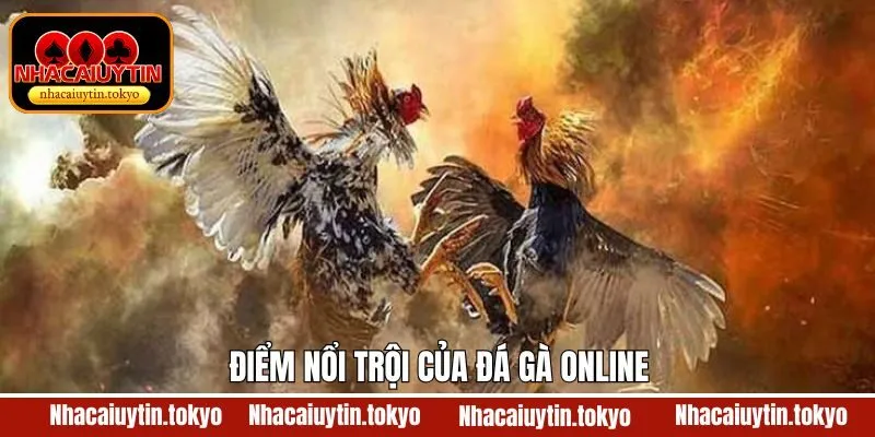 Đá gà online cung cấp nhiều trận đấu